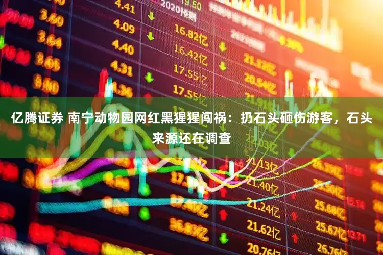 亿腾证券 南宁动物园网红黑猩猩闯祸：扔石头砸伤游客，石头来源还在调查