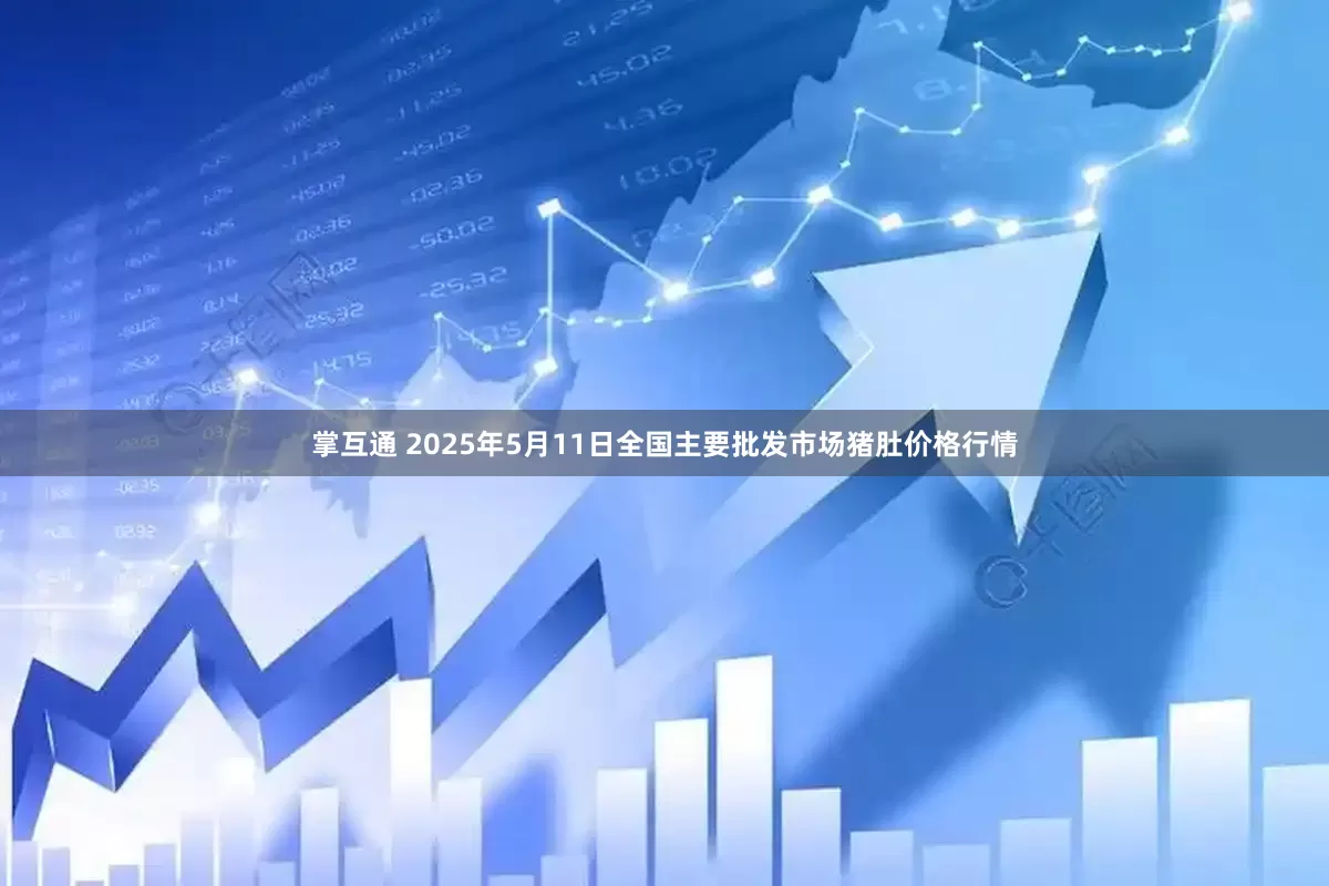 掌互通 2025年5月11日全国主要批发市场猪肚价格行情