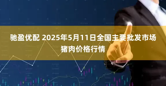 驰盈优配 2025年5月11日全国主要批发市场猪肉价格行情