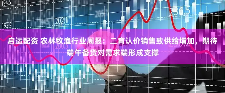 启运配资 农林牧渔行业周报：二育认价销售致供给增加，期待端午备货对需求端形成支撑