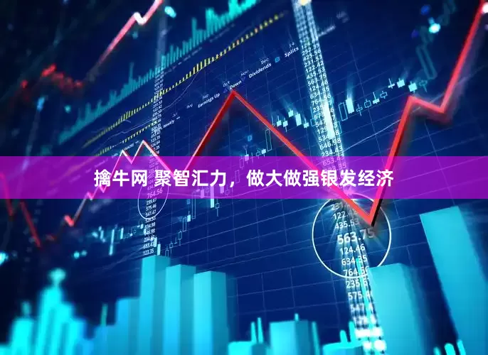 擒牛网 聚智汇力，做大做强银发经济